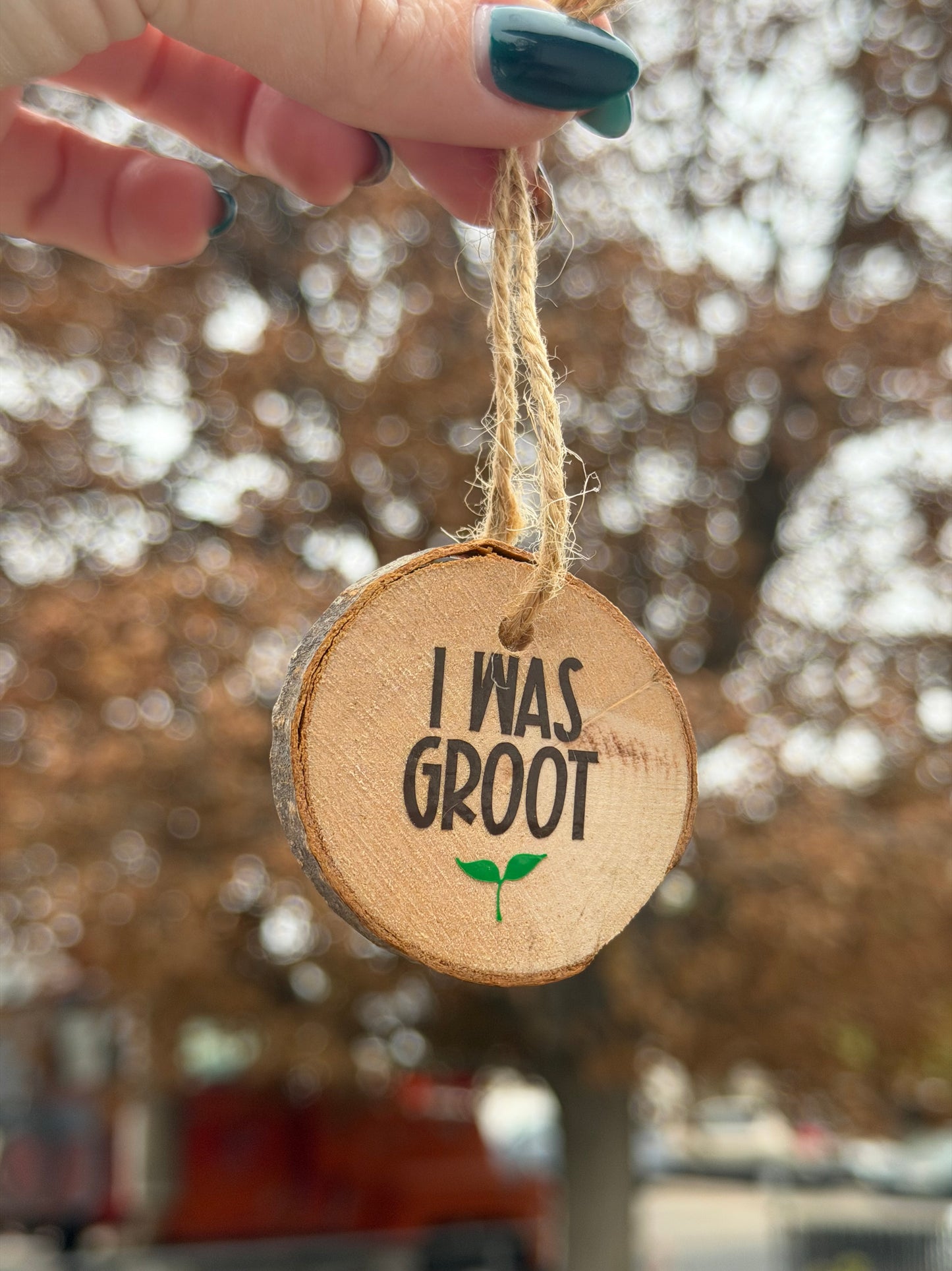 Holiday Ornaments